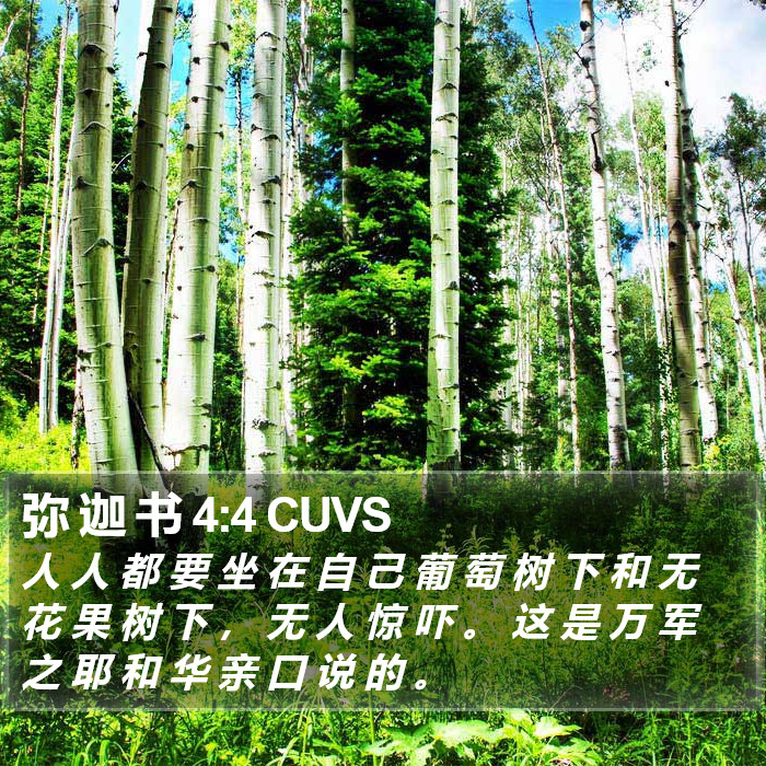 弥 迦 书 4:4 CUVS Bible Study