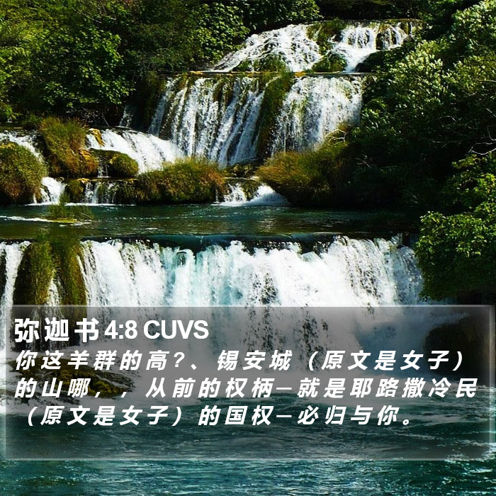 弥 迦 书 4:8 CUVS Bible Study