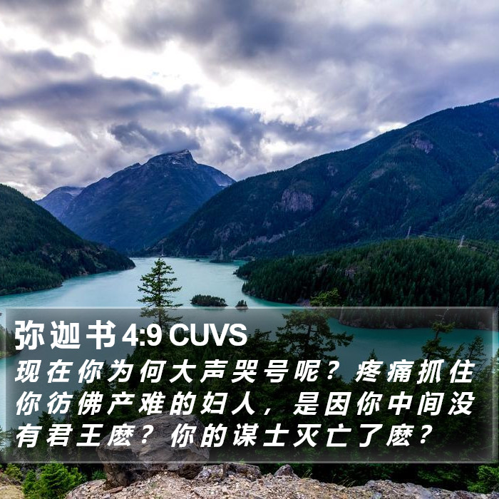 弥 迦 书 4:9 CUVS Bible Study