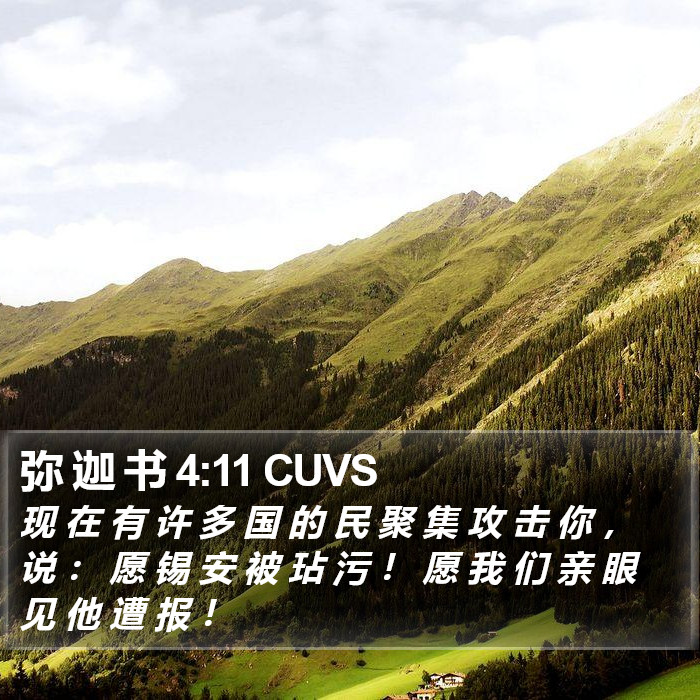 弥 迦 书 4:11 CUVS Bible Study