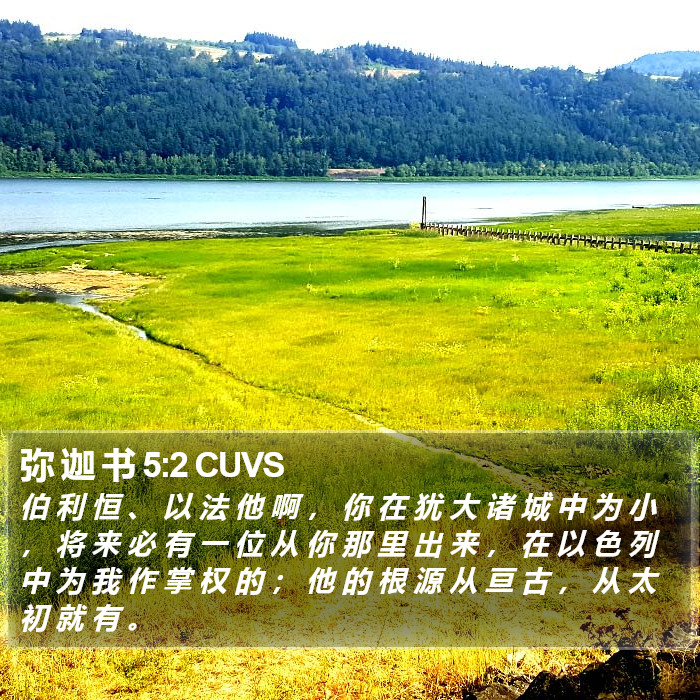 弥 迦 书 5:2 CUVS Bible Study