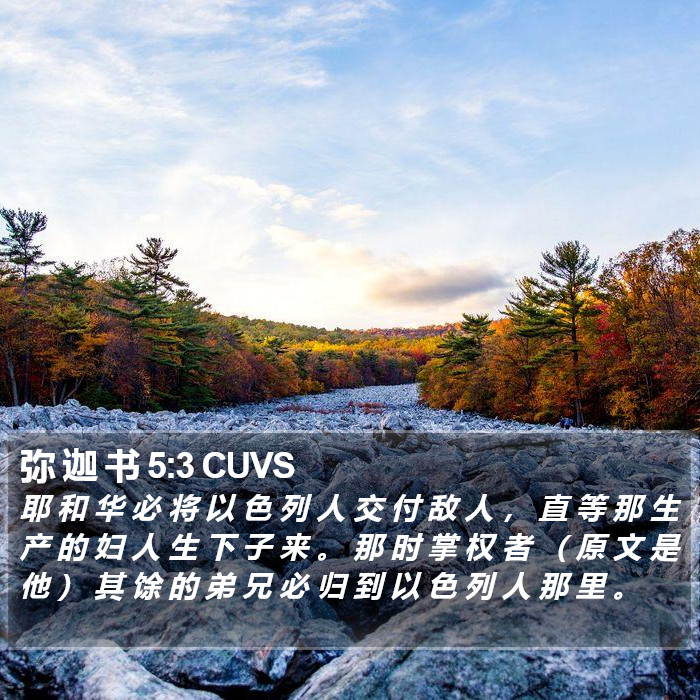 弥 迦 书 5:3 CUVS Bible Study