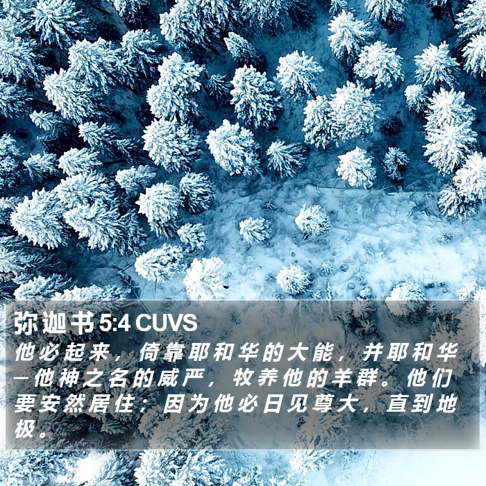 弥 迦 书 5:4 CUVS Bible Study