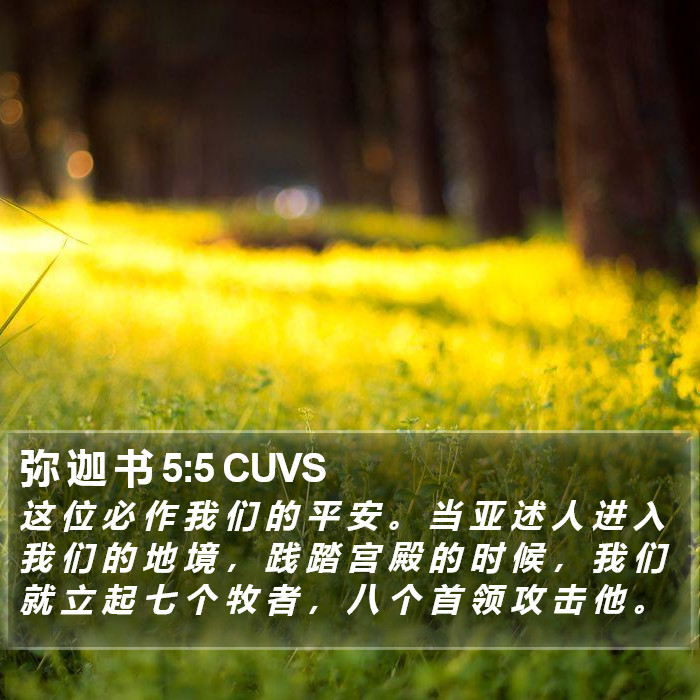 弥 迦 书 5:5 CUVS Bible Study