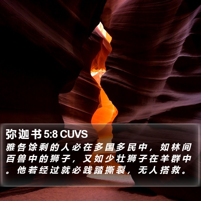 弥 迦 书 5:8 CUVS Bible Study