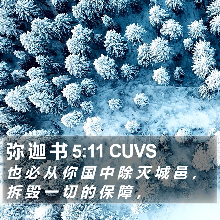 弥 迦 书 5:11 CUVS Bible Study