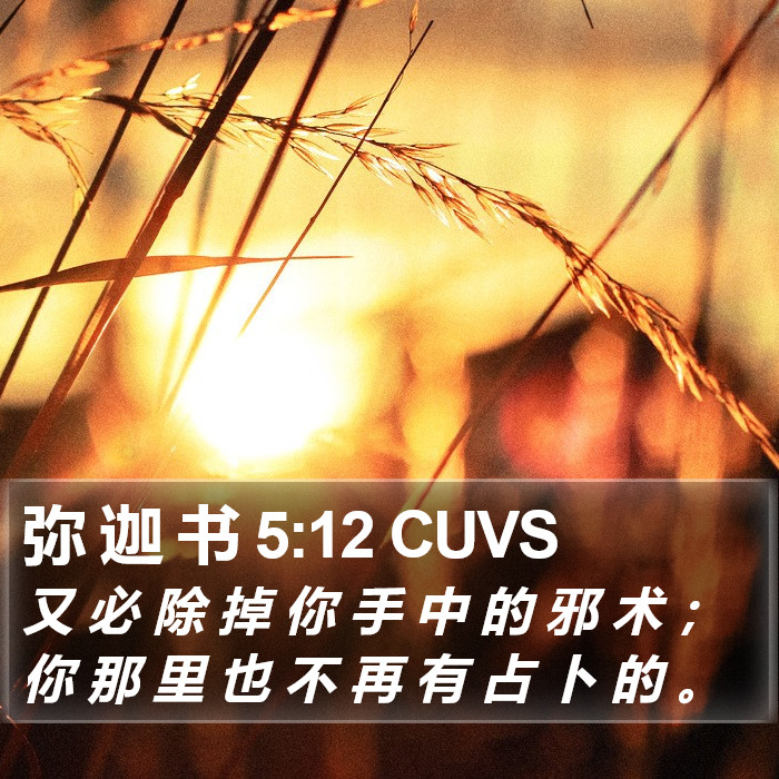 弥 迦 书 5:12 CUVS Bible Study