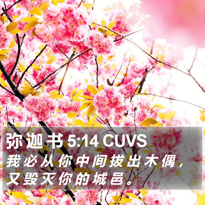 弥 迦 书 5:14 CUVS Bible Study