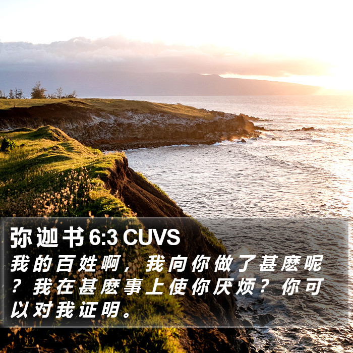 弥 迦 书 6:3 CUVS Bible Study