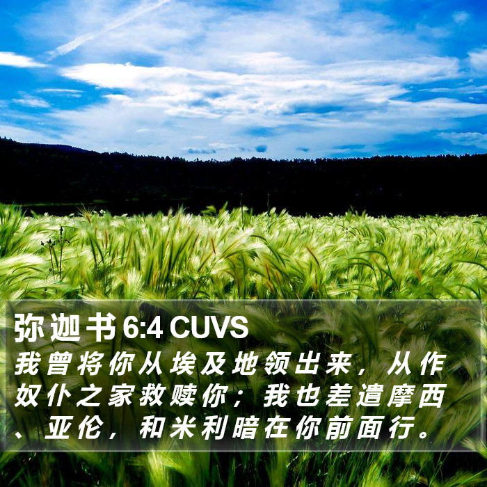 弥 迦 书 6:4 CUVS Bible Study