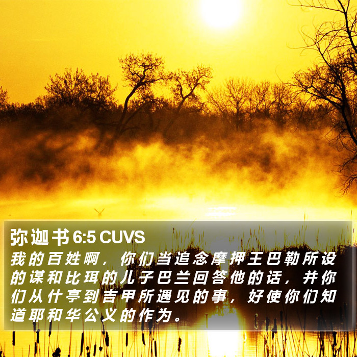 弥 迦 书 6:5 CUVS Bible Study