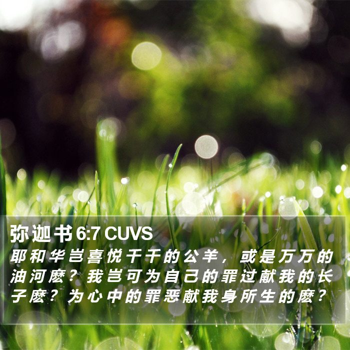 弥 迦 书 6:7 CUVS Bible Study