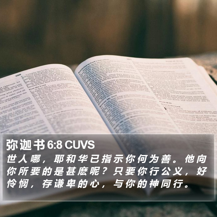 弥 迦 书 6:8 CUVS Bible Study