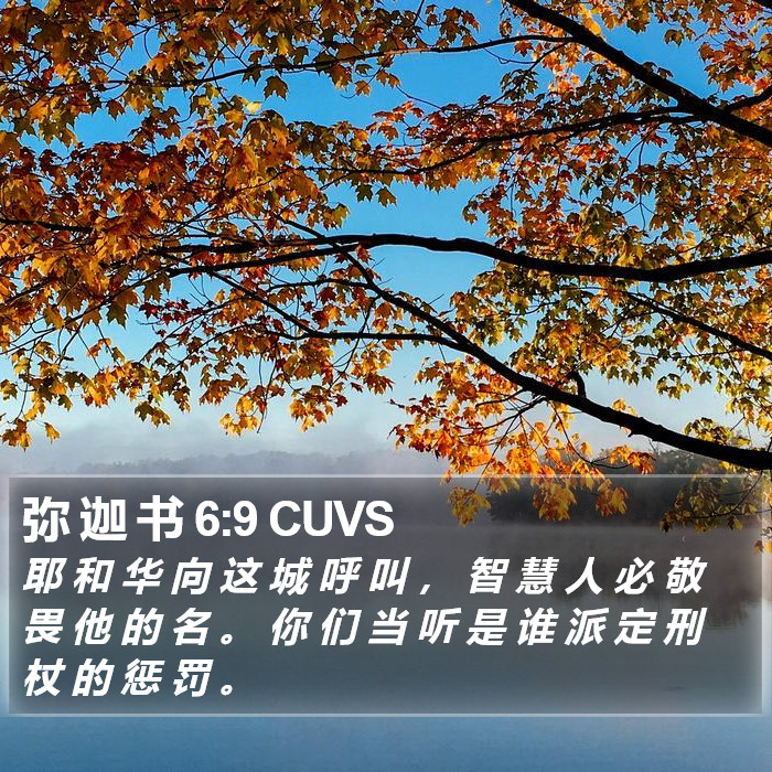 弥 迦 书 6:9 CUVS Bible Study