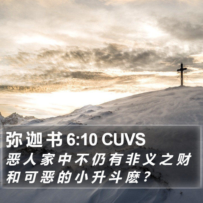 弥 迦 书 6:10 CUVS Bible Study