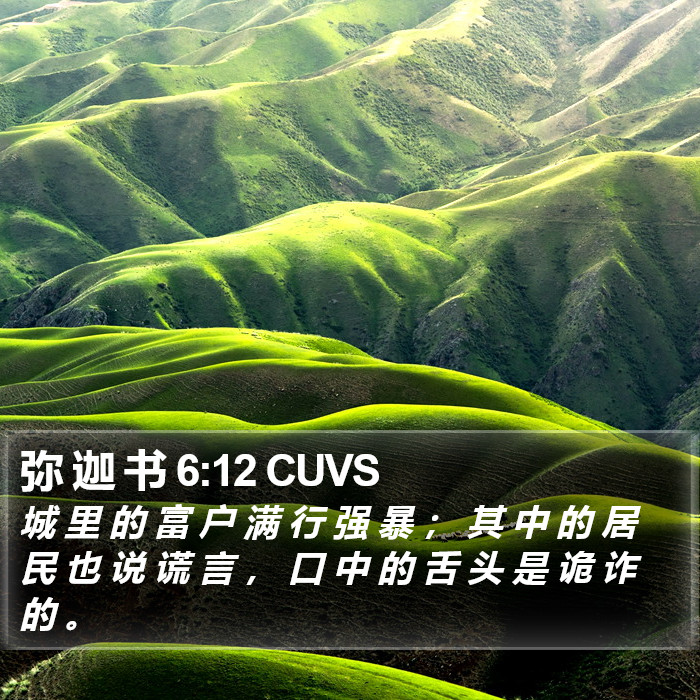 弥 迦 书 6:12 CUVS Bible Study