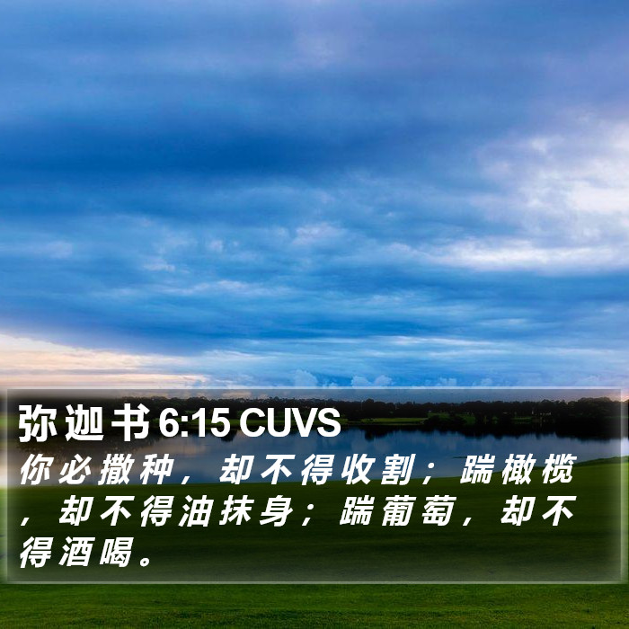 弥 迦 书 6:15 CUVS Bible Study