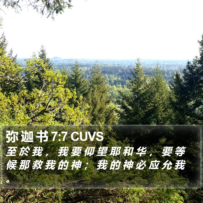 弥 迦 书 7:7 CUVS Bible Study