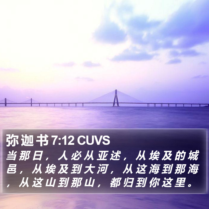 弥 迦 书 7:12 CUVS Bible Study