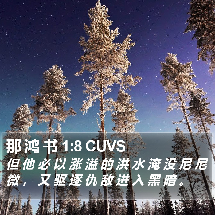 那 鸿 书 1:8 CUVS Bible Study