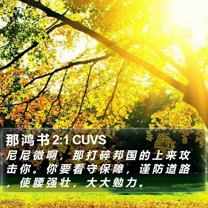 那 鸿 书 2:1 CUVS Bible Study