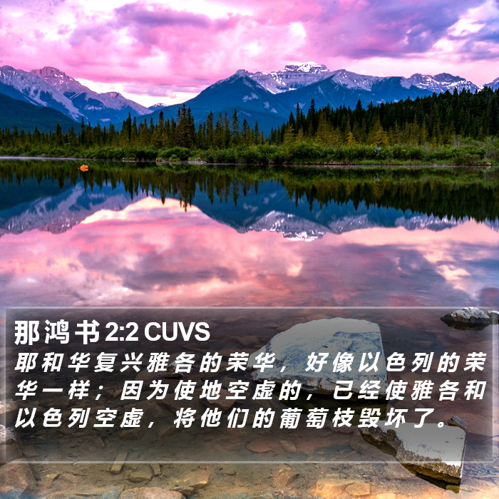 那 鸿 书 2:2 CUVS Bible Study