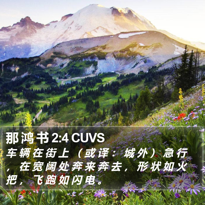 那 鸿 书 2:4 CUVS Bible Study