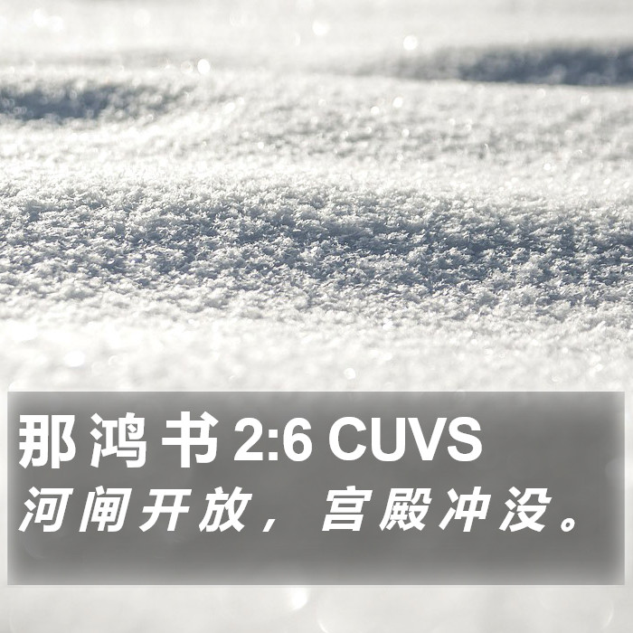 那 鸿 书 2:6 CUVS Bible Study