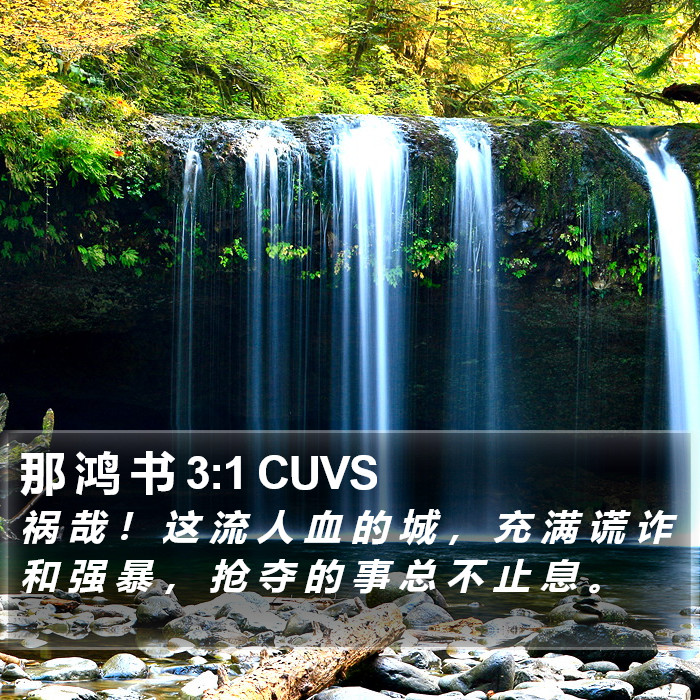 那 鸿 书 3:1 CUVS Bible Study