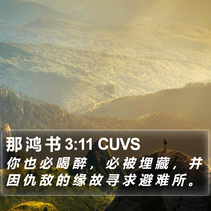 那 鸿 书 3:11 CUVS Bible Study