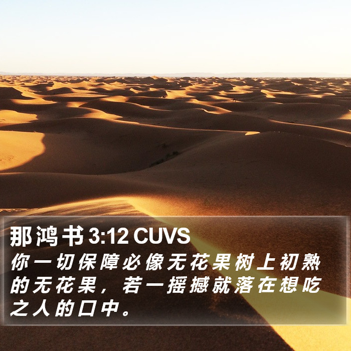 那 鸿 书 3:12 CUVS Bible Study