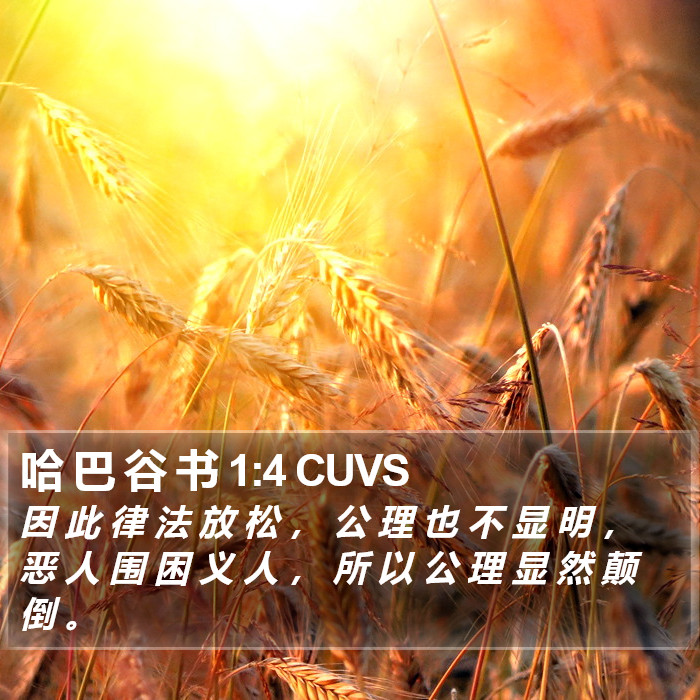 哈 巴 谷 书 1:4 CUVS Bible Study