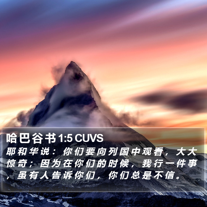 哈 巴 谷 书 1:5 CUVS Bible Study