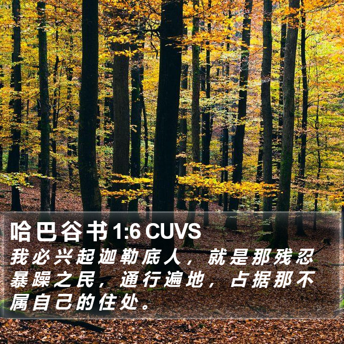 哈 巴 谷 书 1:6 CUVS Bible Study