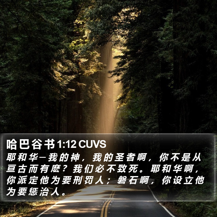 哈 巴 谷 书 1:12 CUVS Bible Study