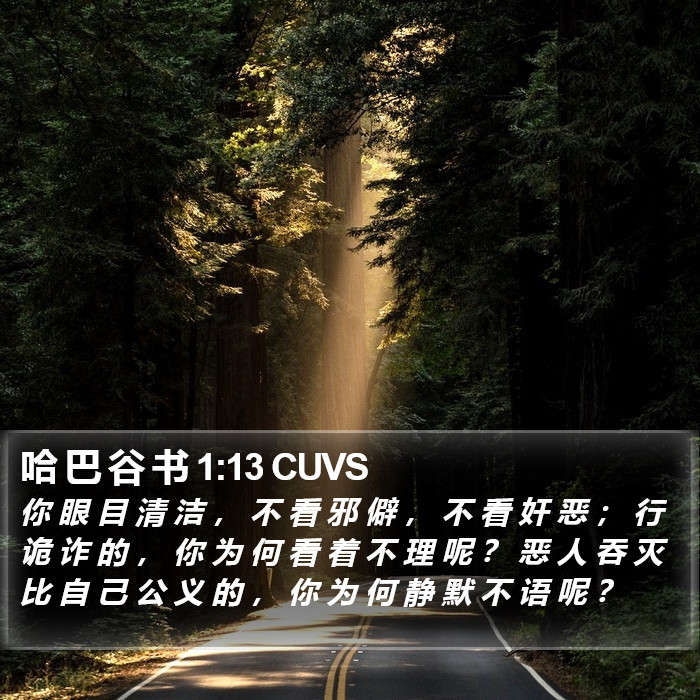 哈 巴 谷 书 1:13 CUVS Bible Study