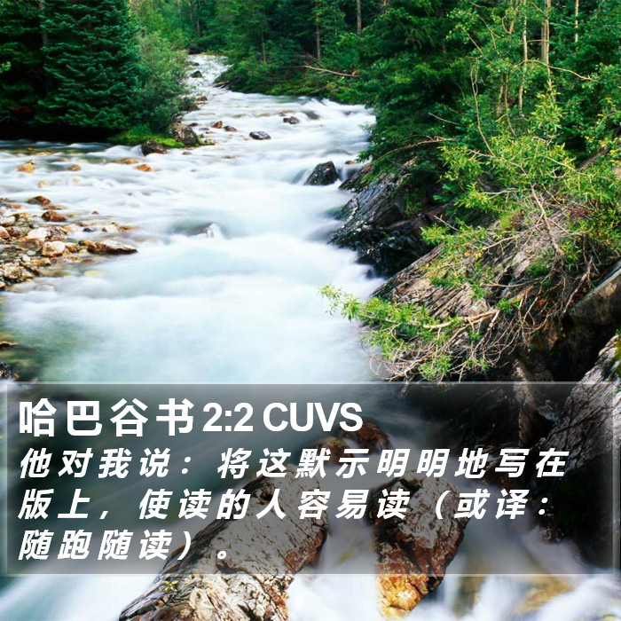 哈 巴 谷 书 2:2 CUVS Bible Study