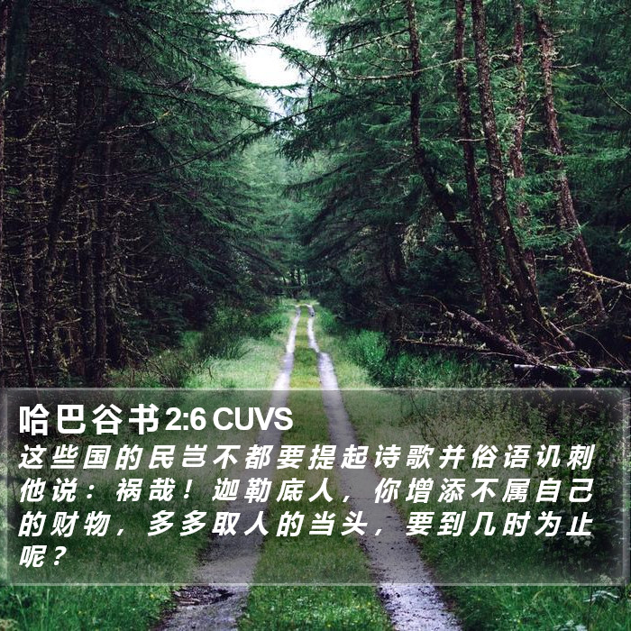 哈 巴 谷 书 2:6 CUVS Bible Study