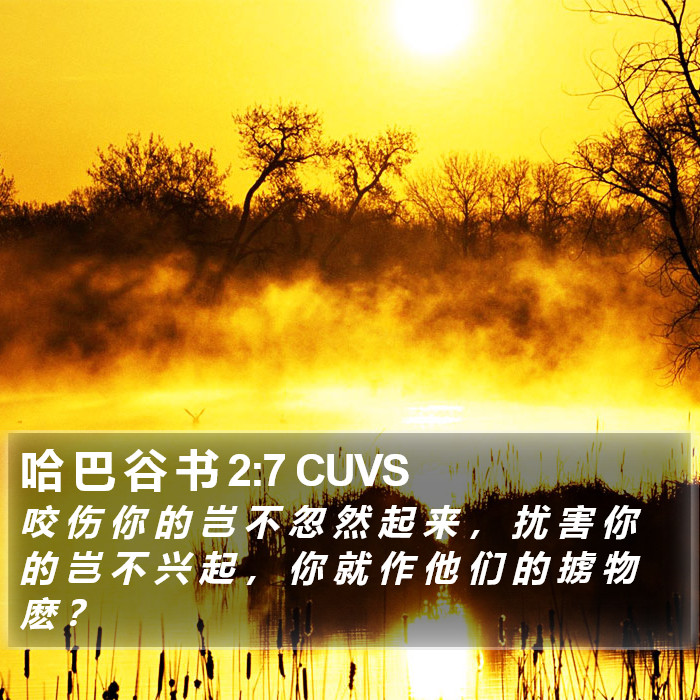哈 巴 谷 书 2:7 CUVS Bible Study