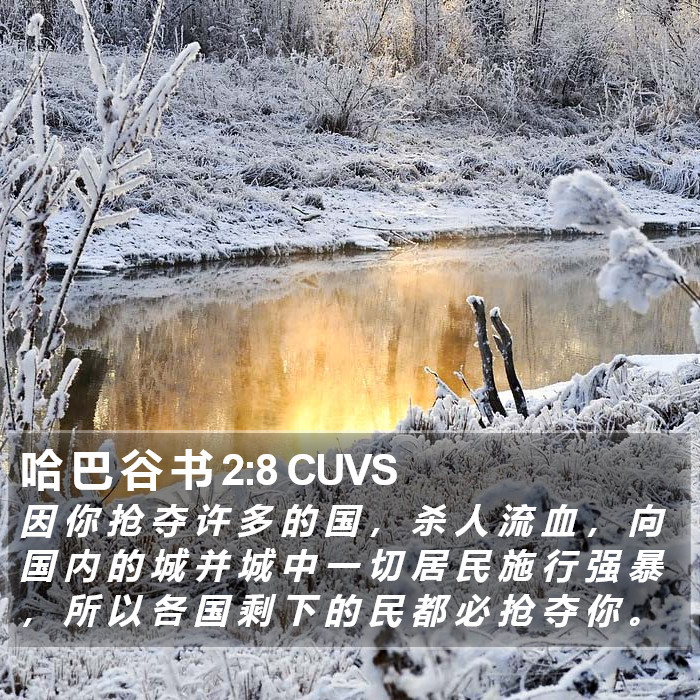 哈 巴 谷 书 2:8 CUVS Bible Study