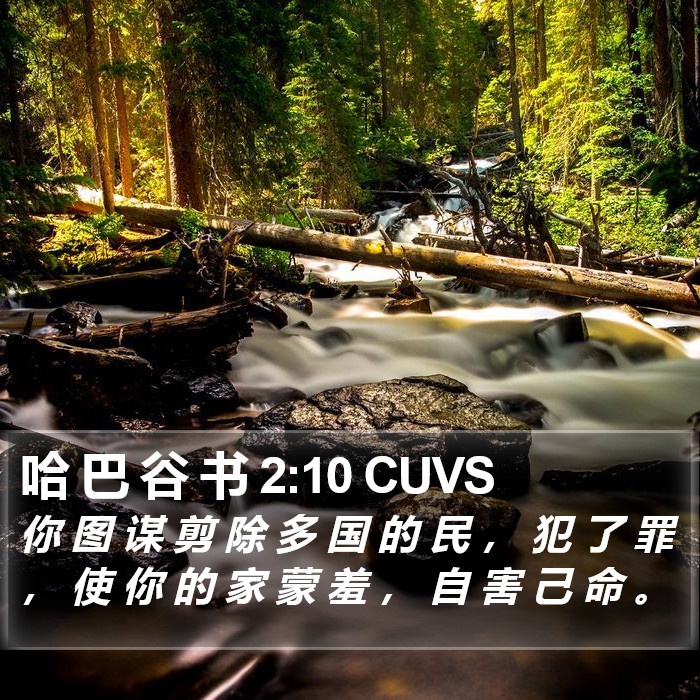 哈 巴 谷 书 2:10 CUVS Bible Study