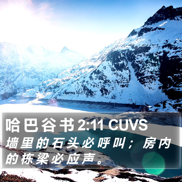 哈 巴 谷 书 2:11 CUVS Bible Study