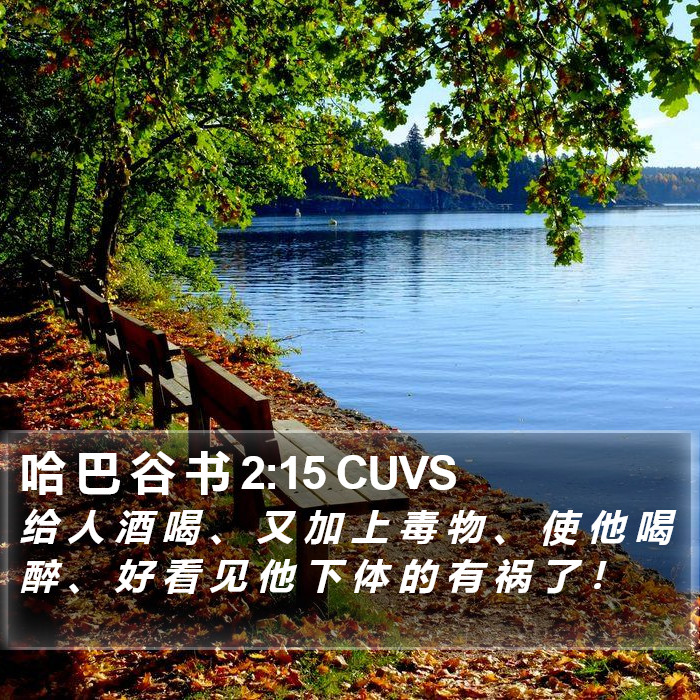 哈 巴 谷 书 2:15 CUVS Bible Study