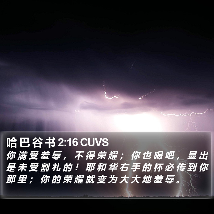 哈 巴 谷 书 2:16 CUVS Bible Study