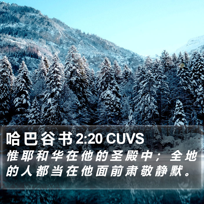 哈 巴 谷 书 2:20 CUVS Bible Study