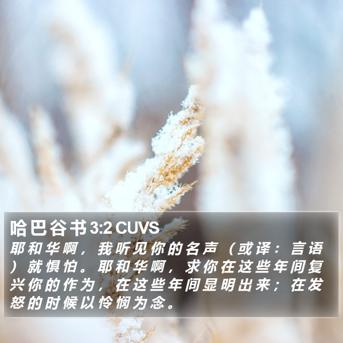 哈 巴 谷 书 3:2 CUVS Bible Study
