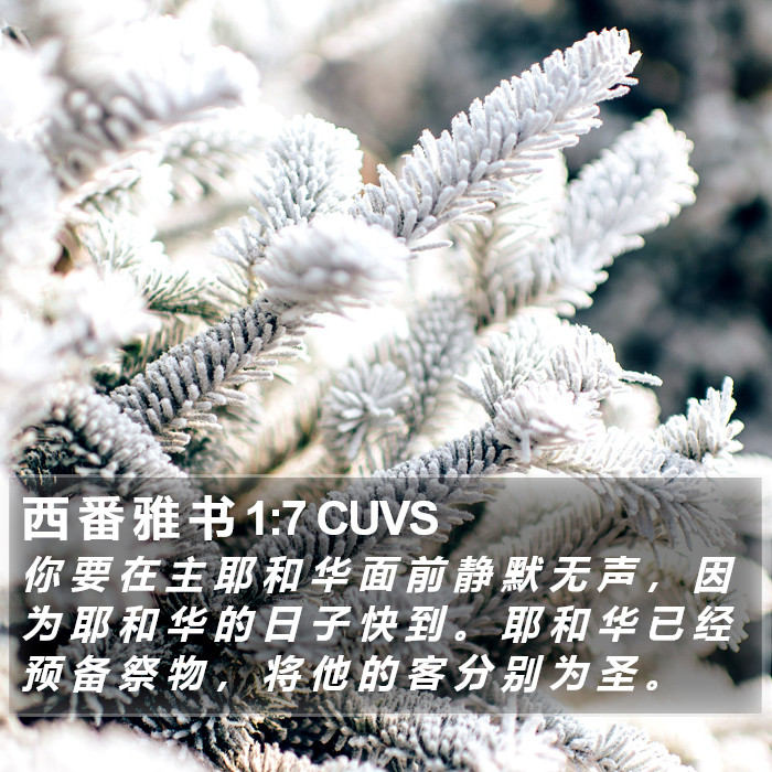 西 番 雅 书 1:7 CUVS Bible Study