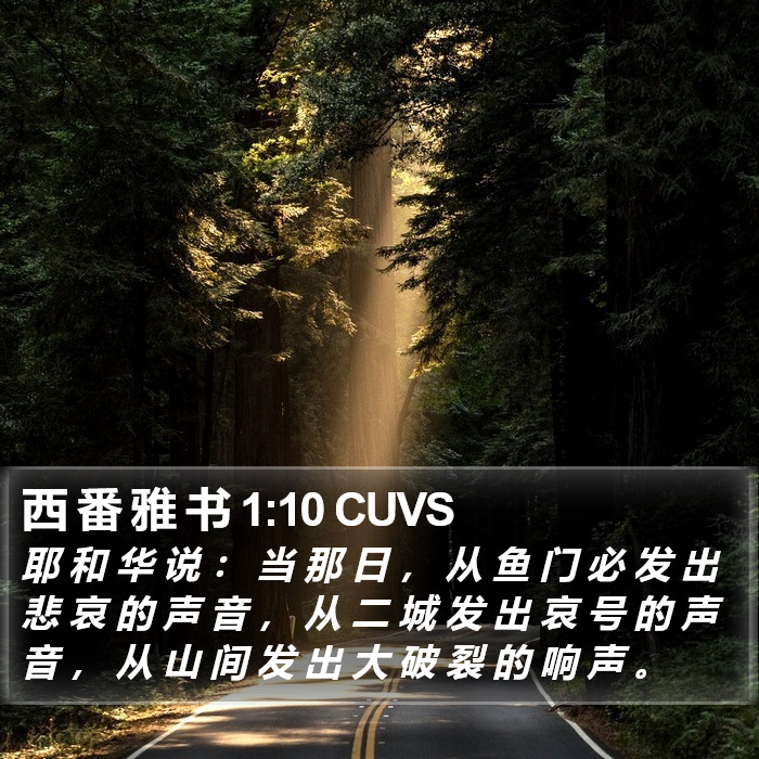 西 番 雅 书 1:10 CUVS Bible Study