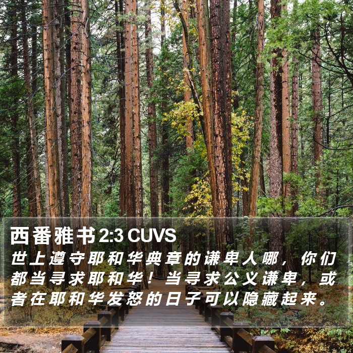 西 番 雅 书 2:3 CUVS Bible Study