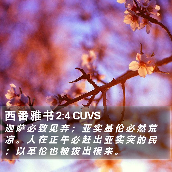 西 番 雅 书 2:4 CUVS Bible Study